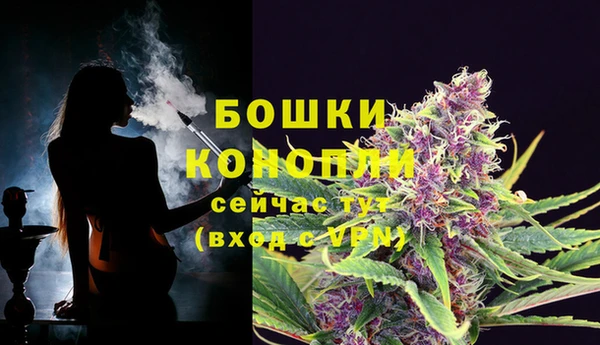 сатива Белоозёрский