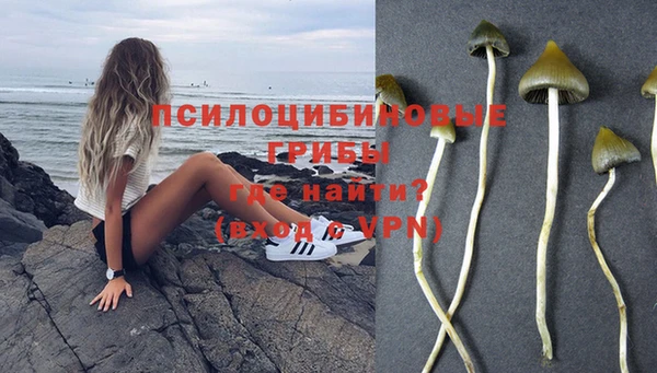 МДПВ Беломорск