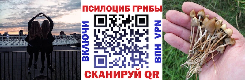Псилоцибиновые грибы Magic Shrooms Облучье